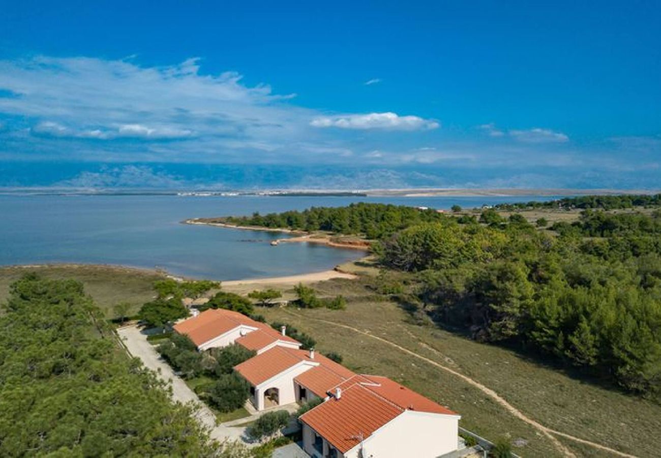 House in Vir - Manuela - vir