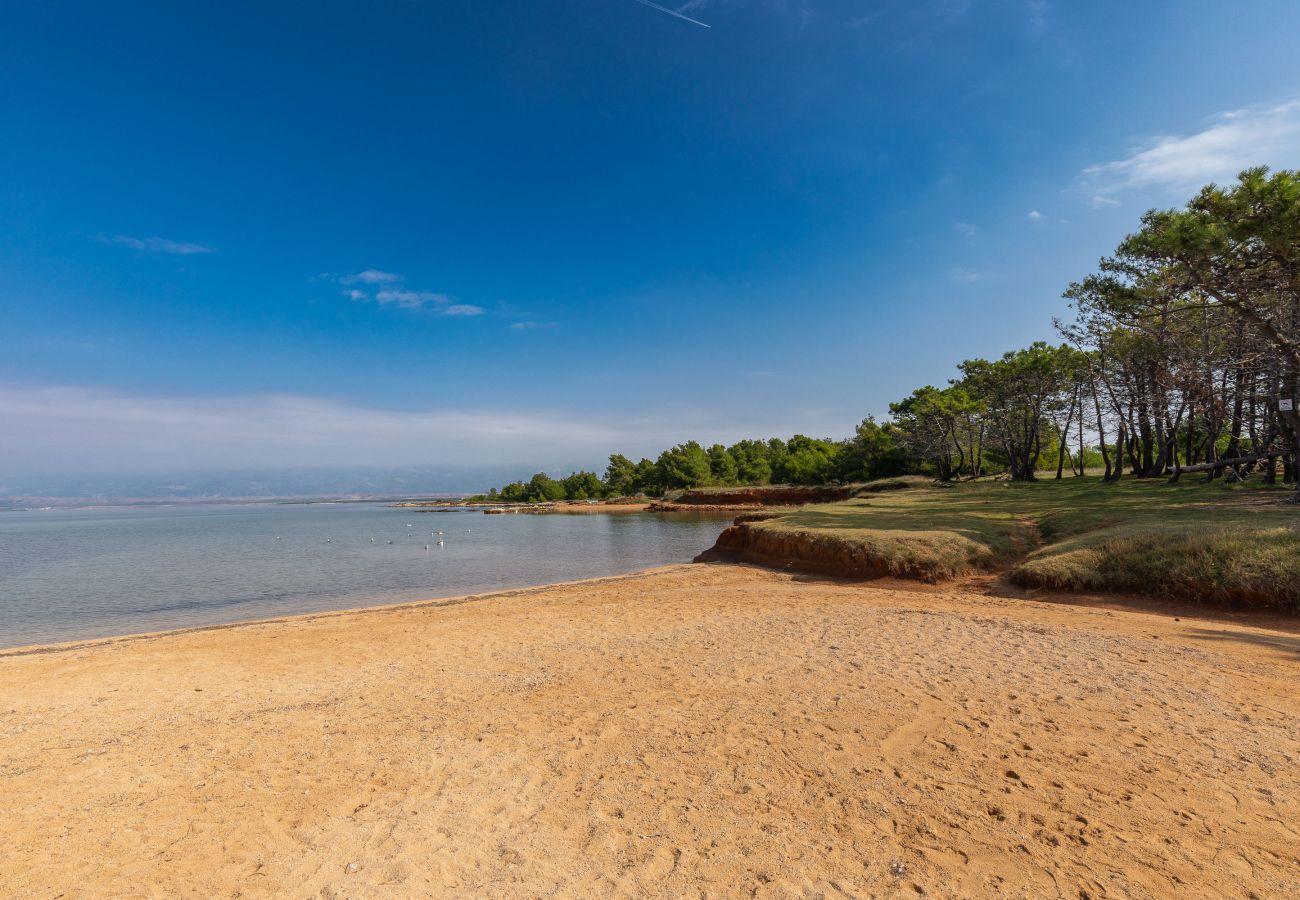 House in Vir - Manuela - vir