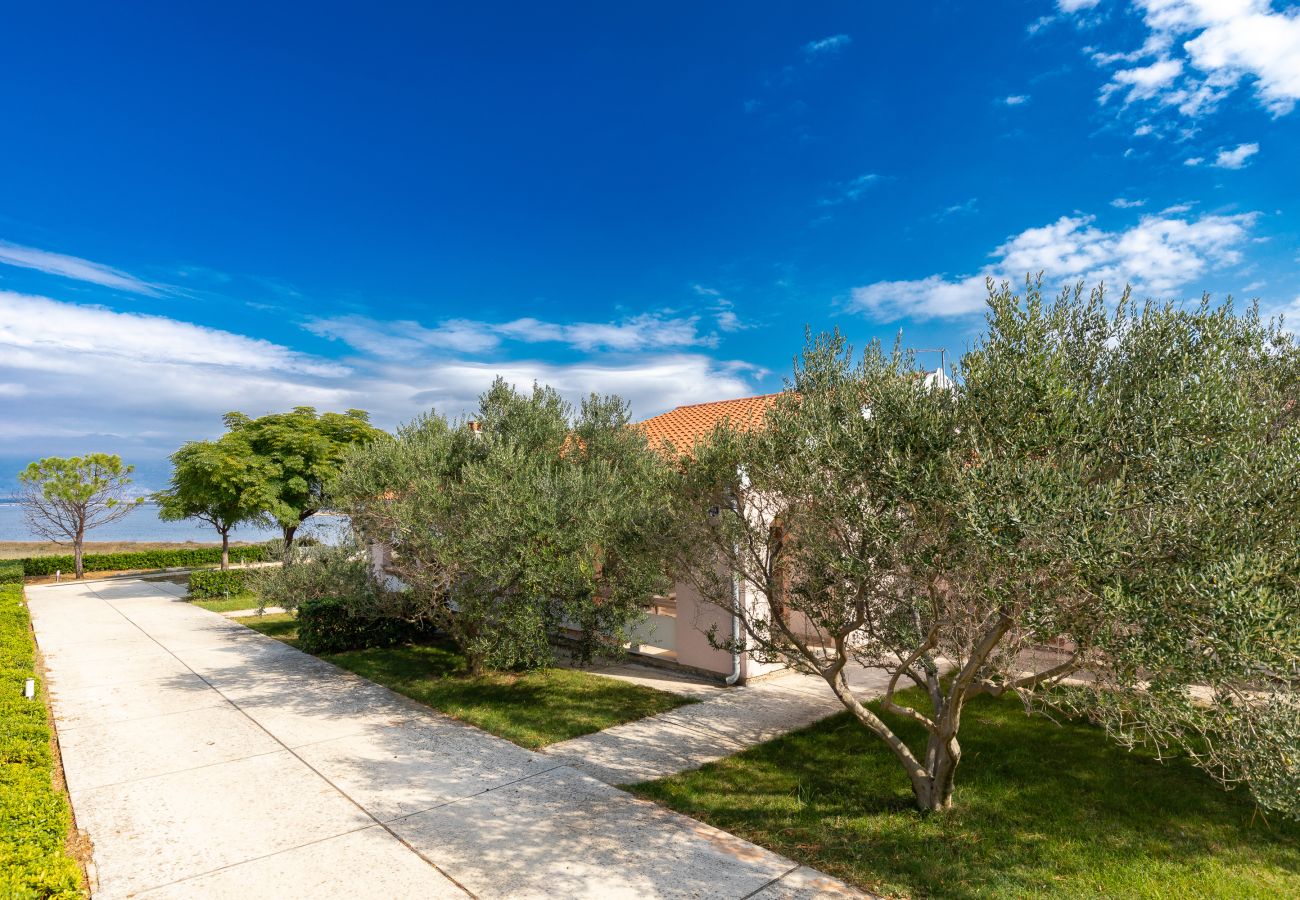 House in Vir - Manuela - vir