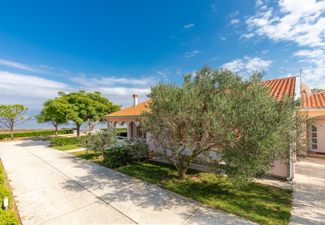 House in Vir - Manuela - vir