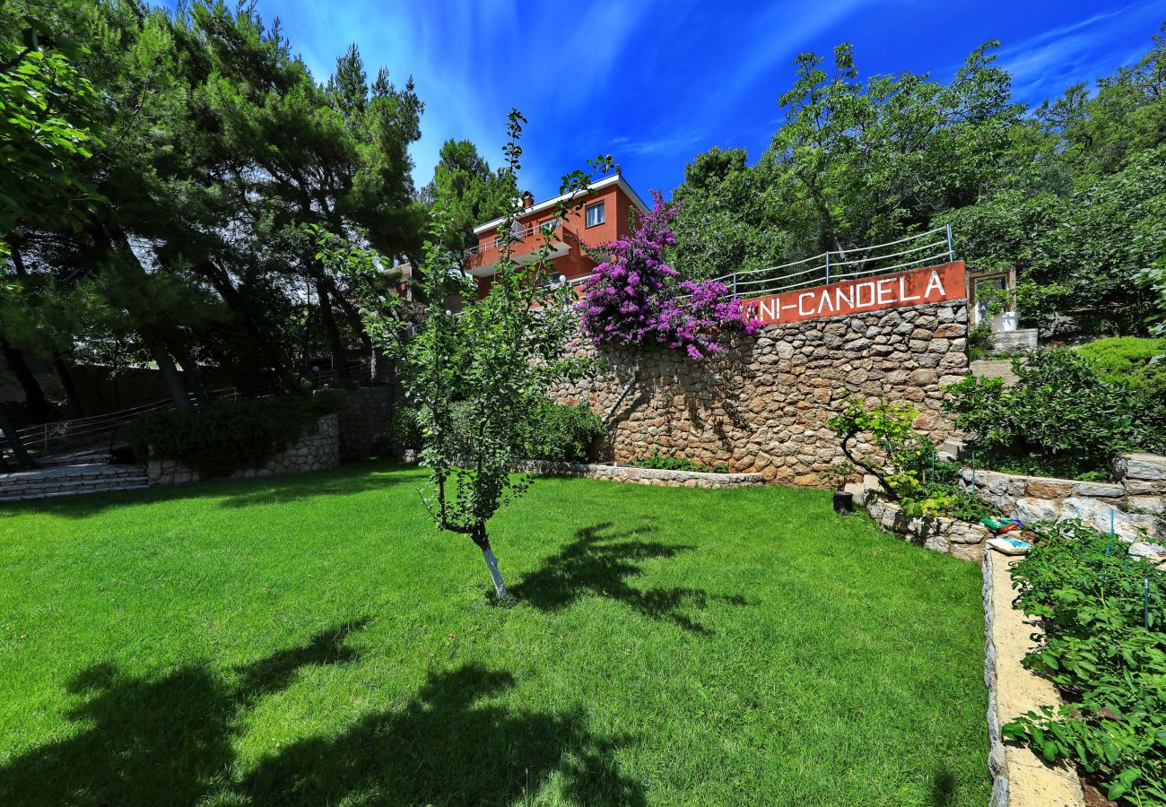 Apartment in Starigrad - Candela No. 4