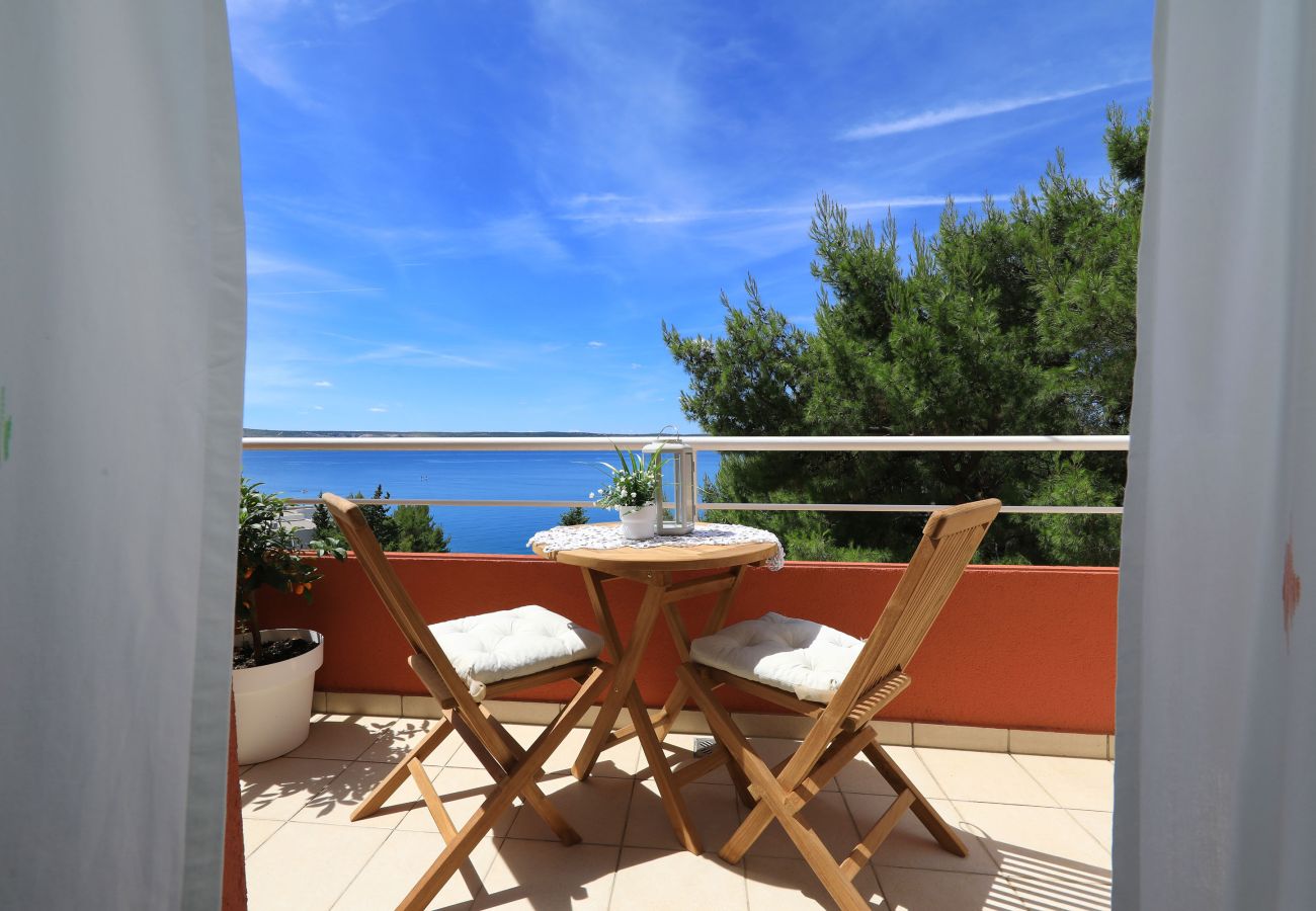 Apartment in Starigrad - Candela No. 6