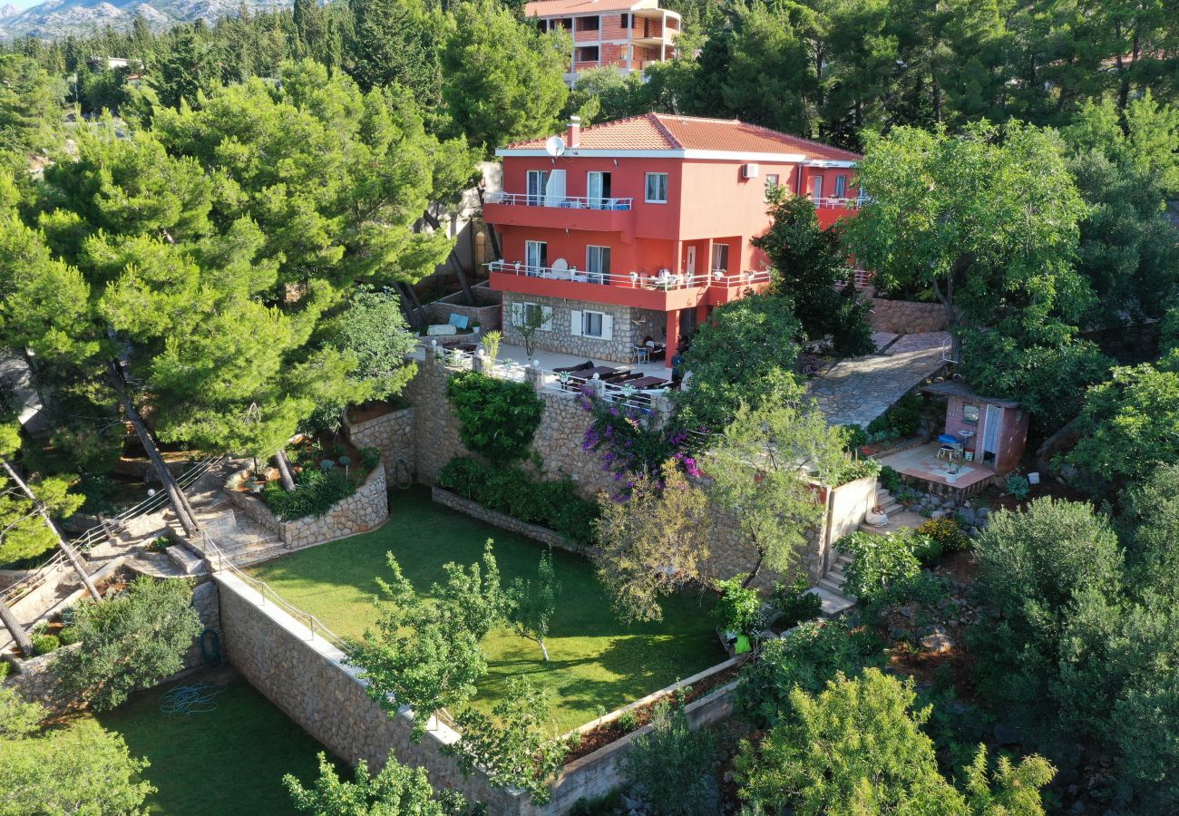 Apartment in Starigrad - Candela No. 1