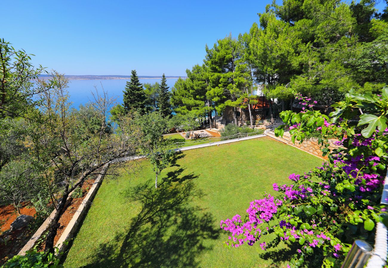 Apartment in Starigrad - Candela No. 1