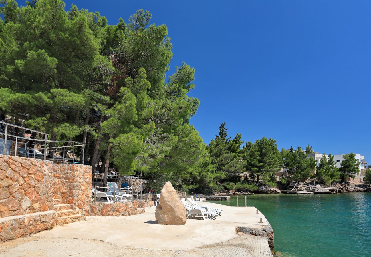 Apartment in Starigrad - Candela No. 1