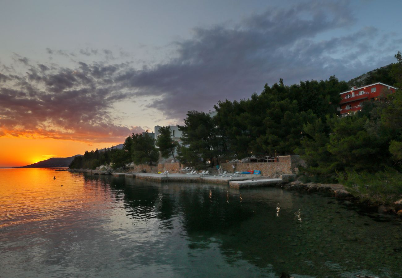 Apartment in Starigrad - Candela No. 1