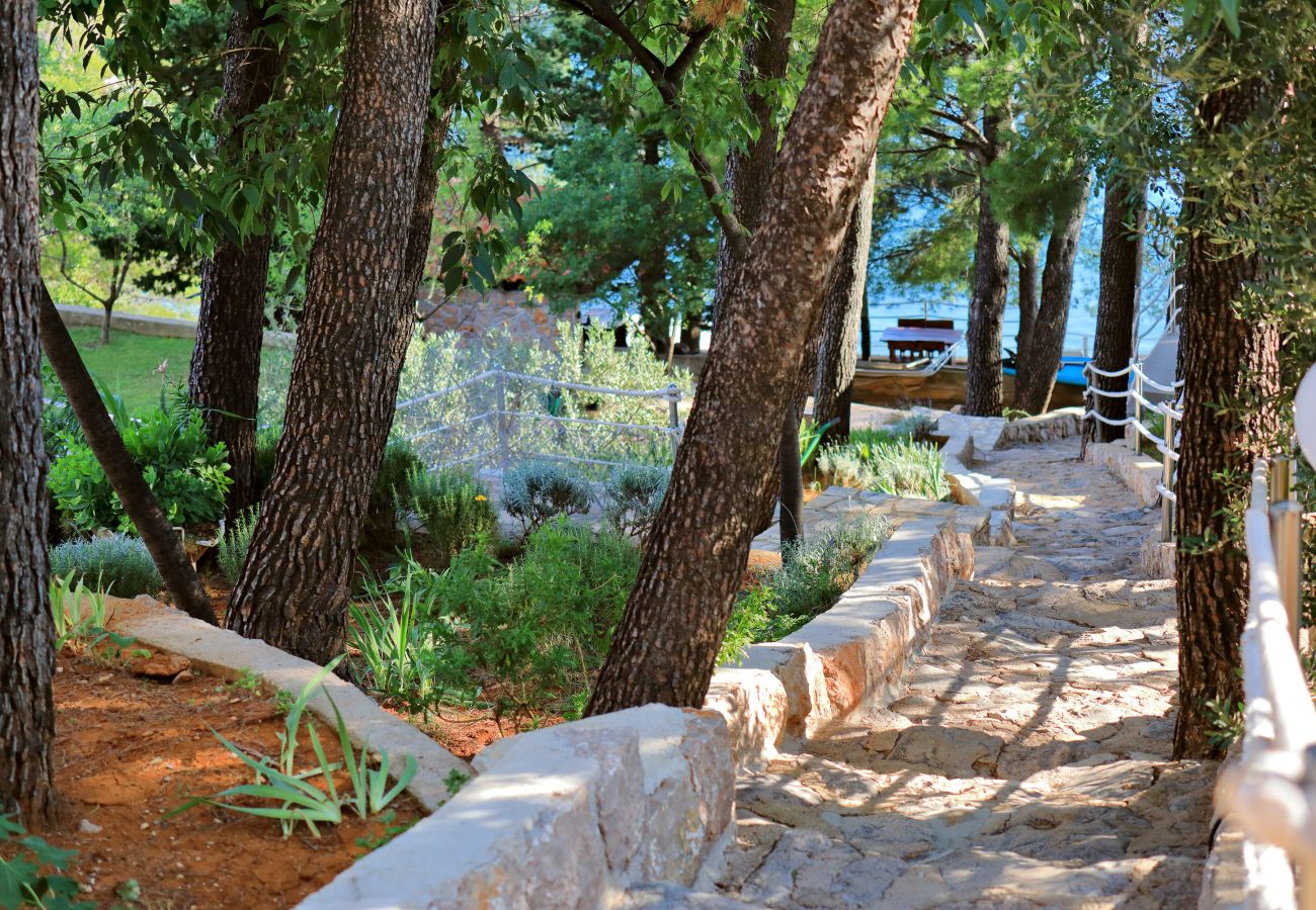 Apartment in Starigrad - Candela No. 1