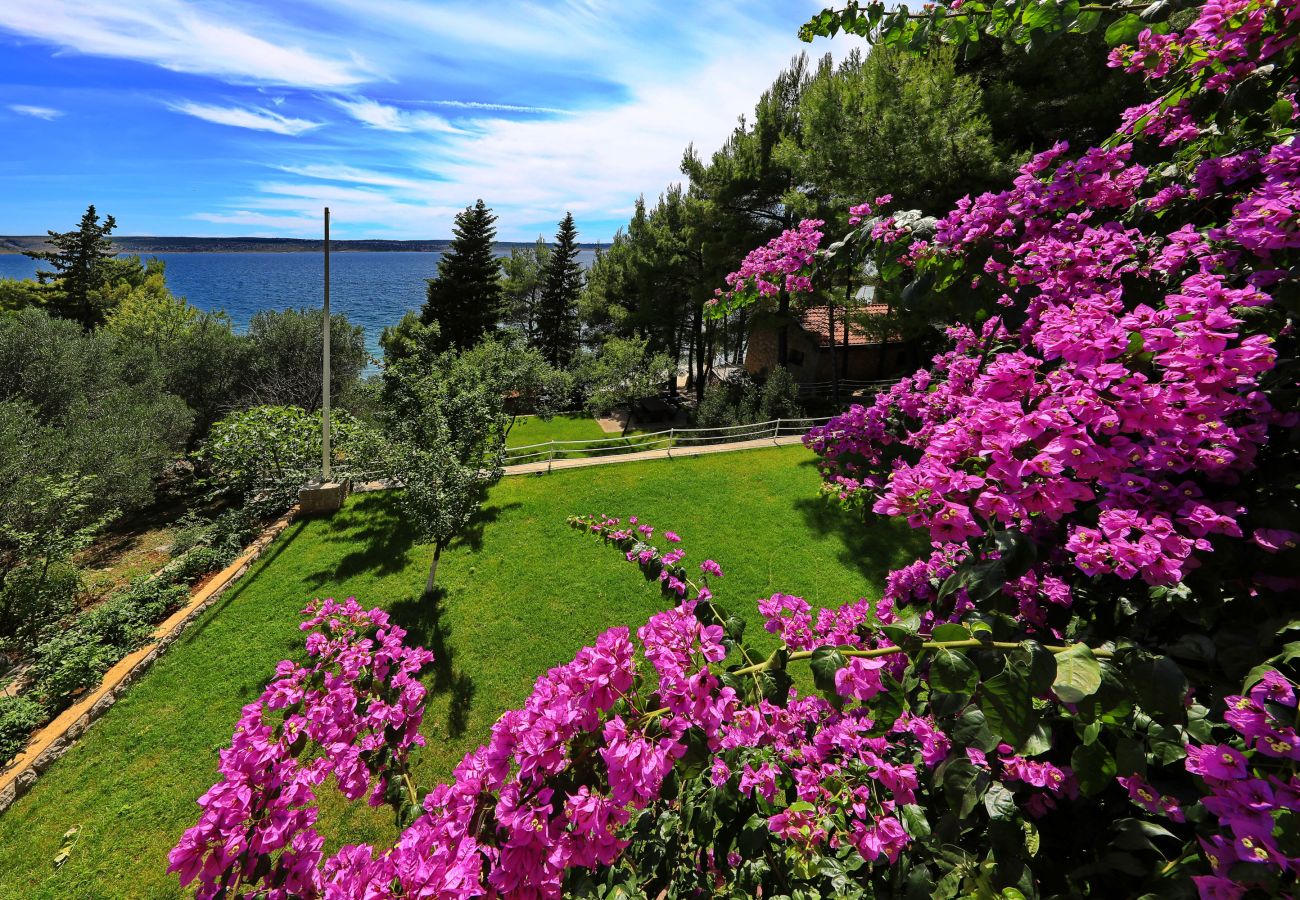 Apartment in Starigrad - Candela No. 1