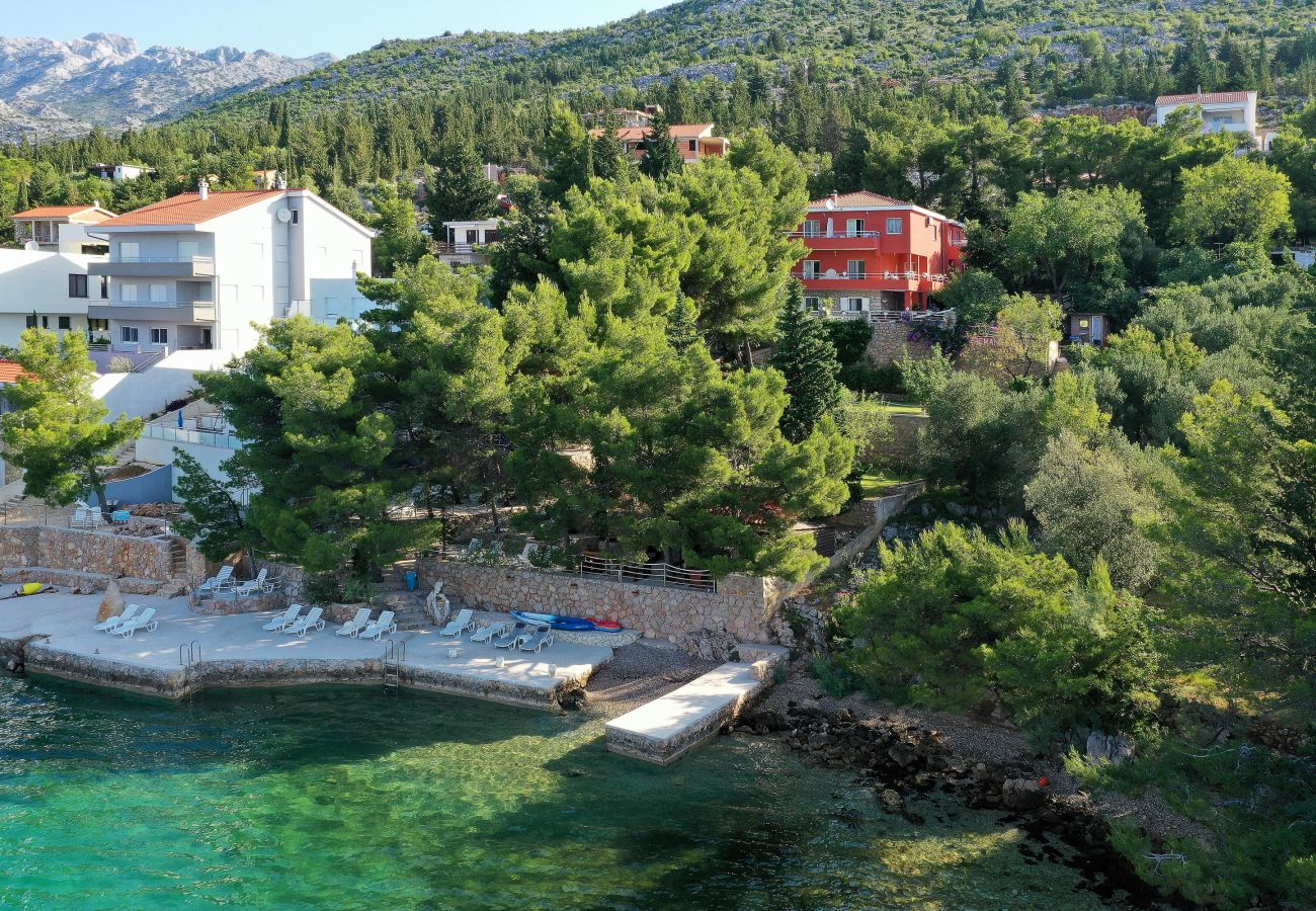 Apartment in Starigrad - Candela No. 2