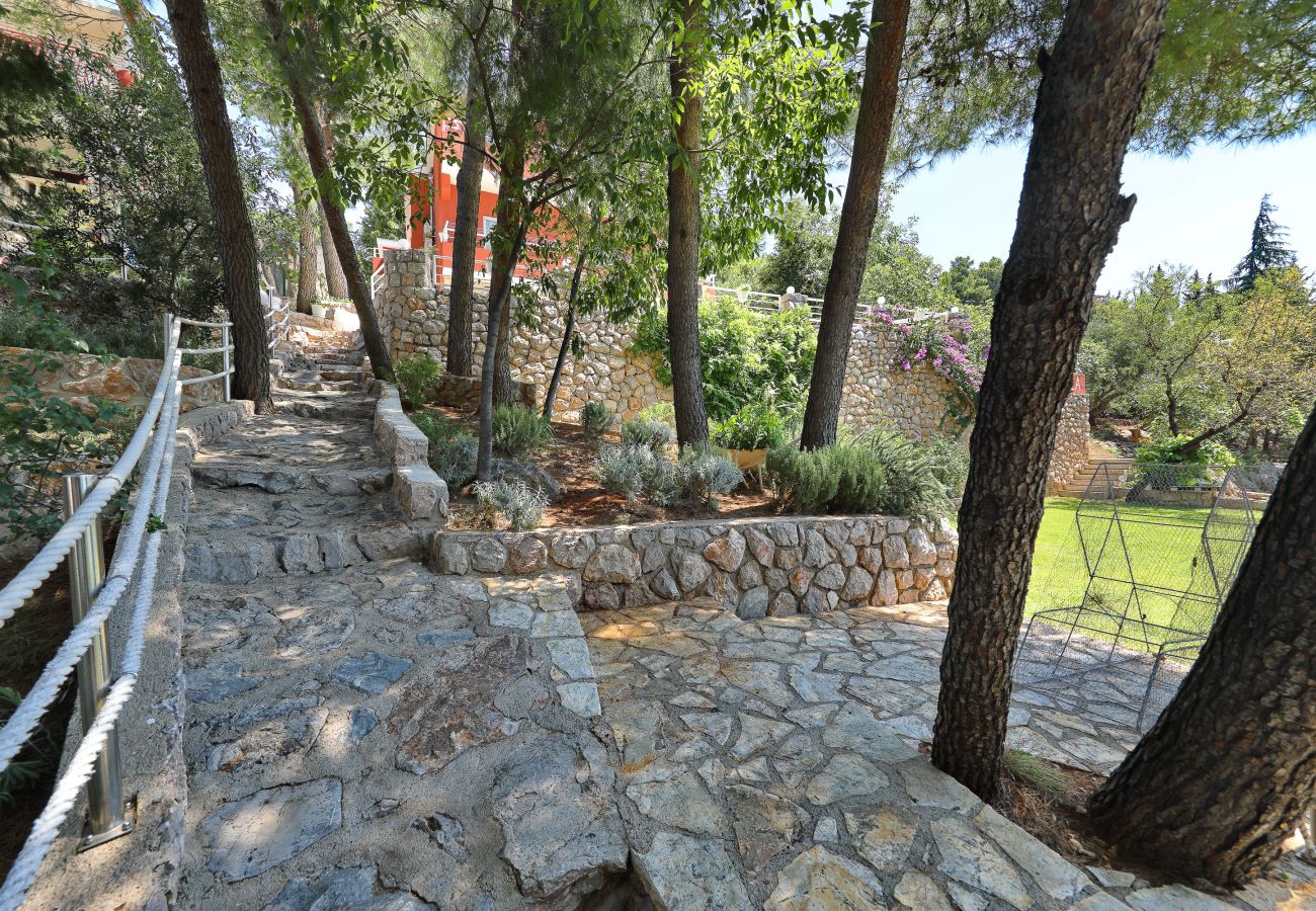 Apartment in Starigrad - Candela No. 2