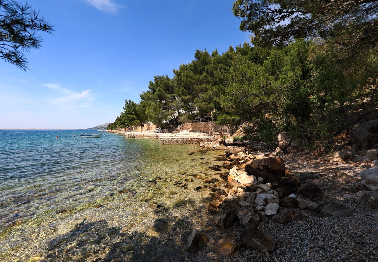 Apartment in Starigrad - Candela No. 2