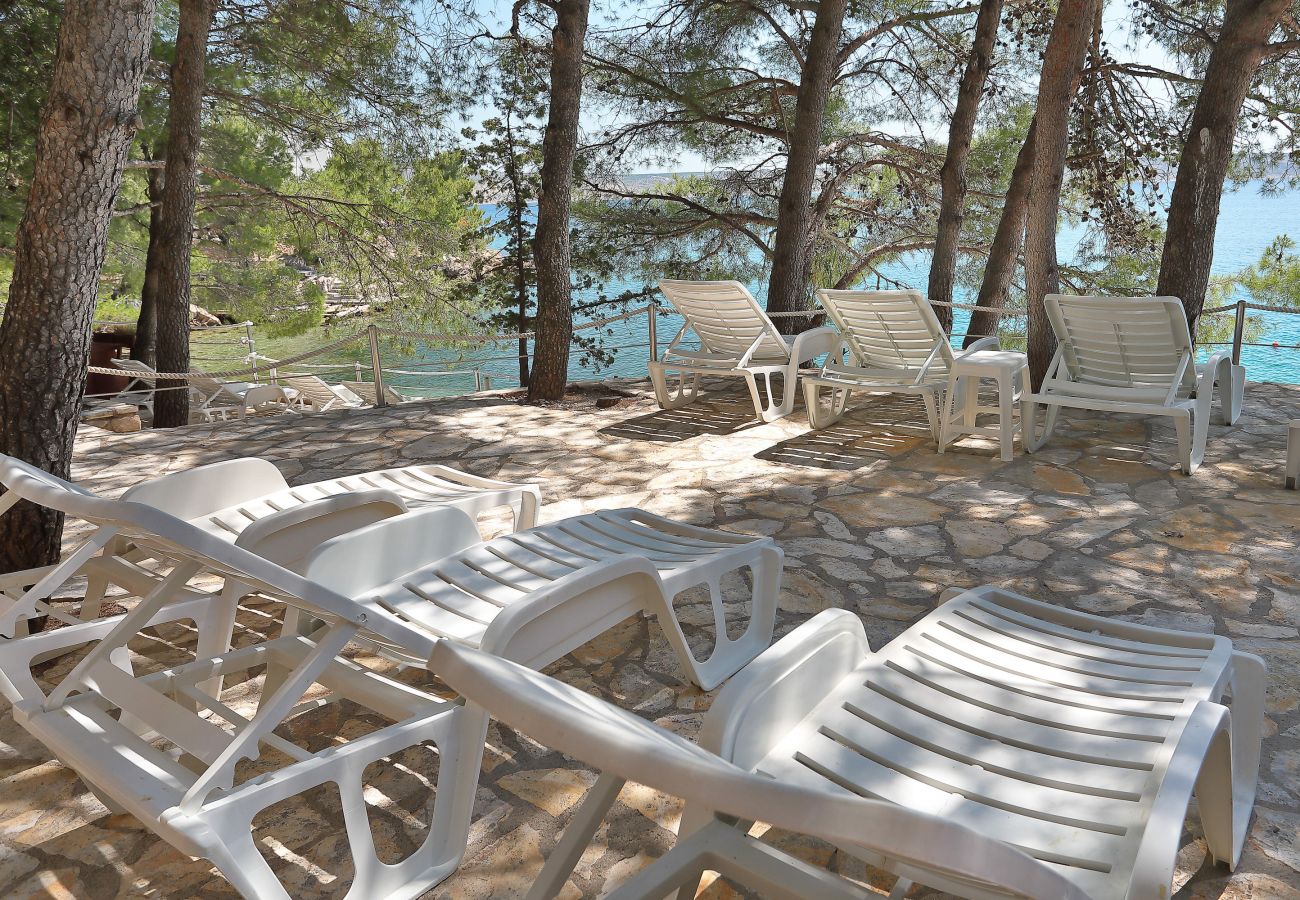 Apartment in Starigrad - Candela No. 3