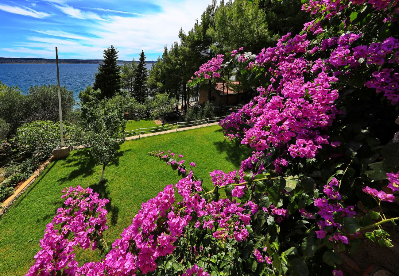 Apartment in Starigrad - Candela No. 3