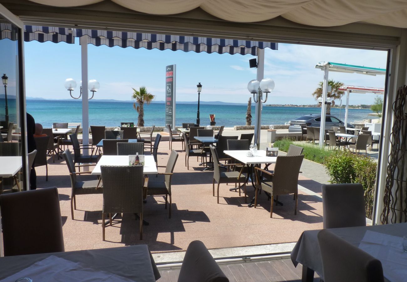 Apartment in Vir - Ferienwohnung Paradiso No. 3