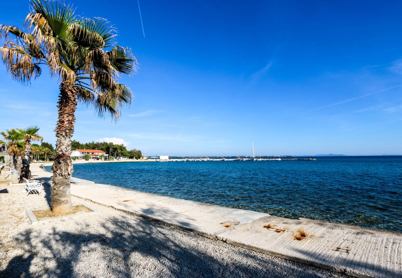 Apartment in Vir - Ferienwohnung Paradiso No. 3