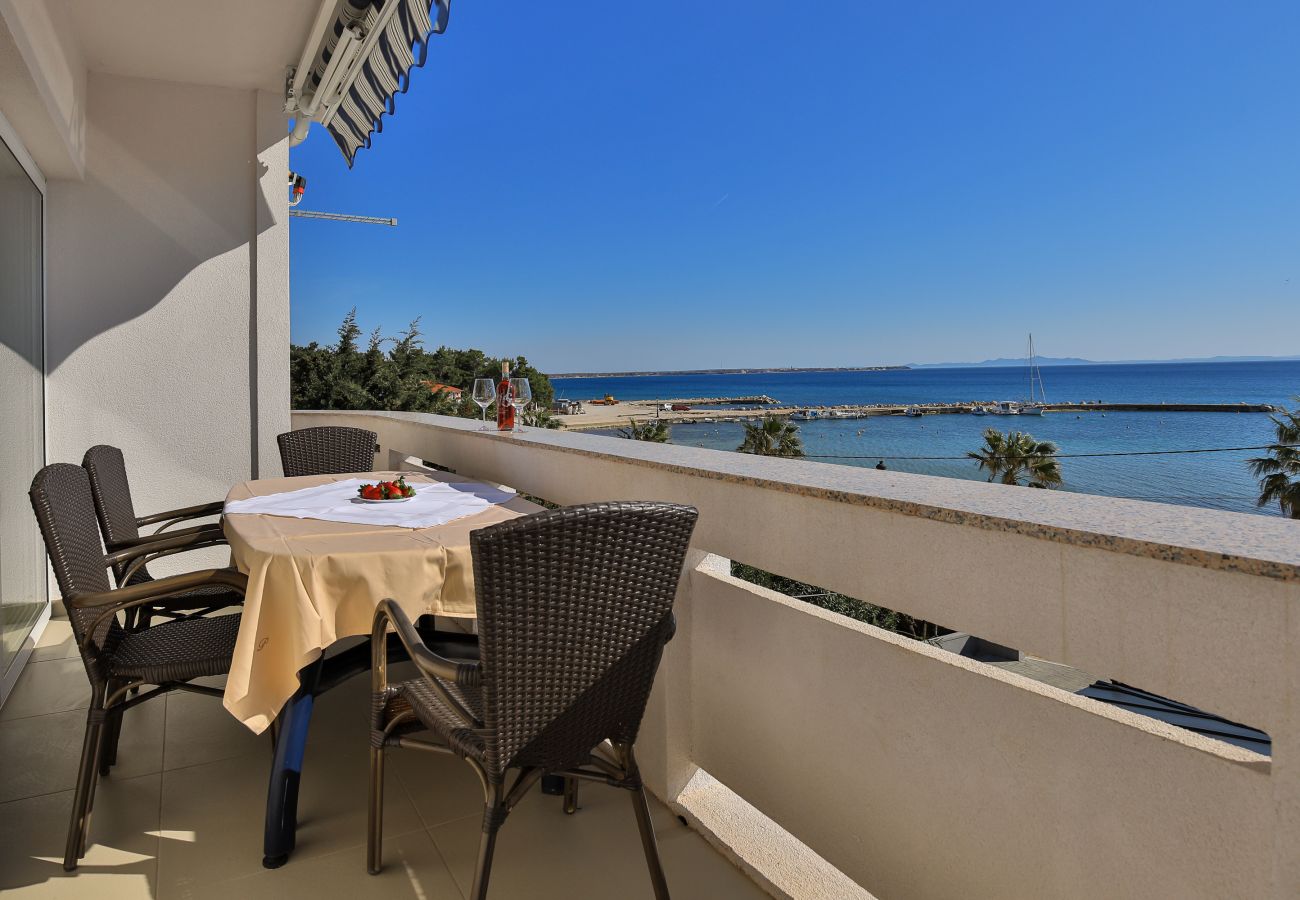 Apartment in Vir - Ferienwohnung Paradiso No. 3