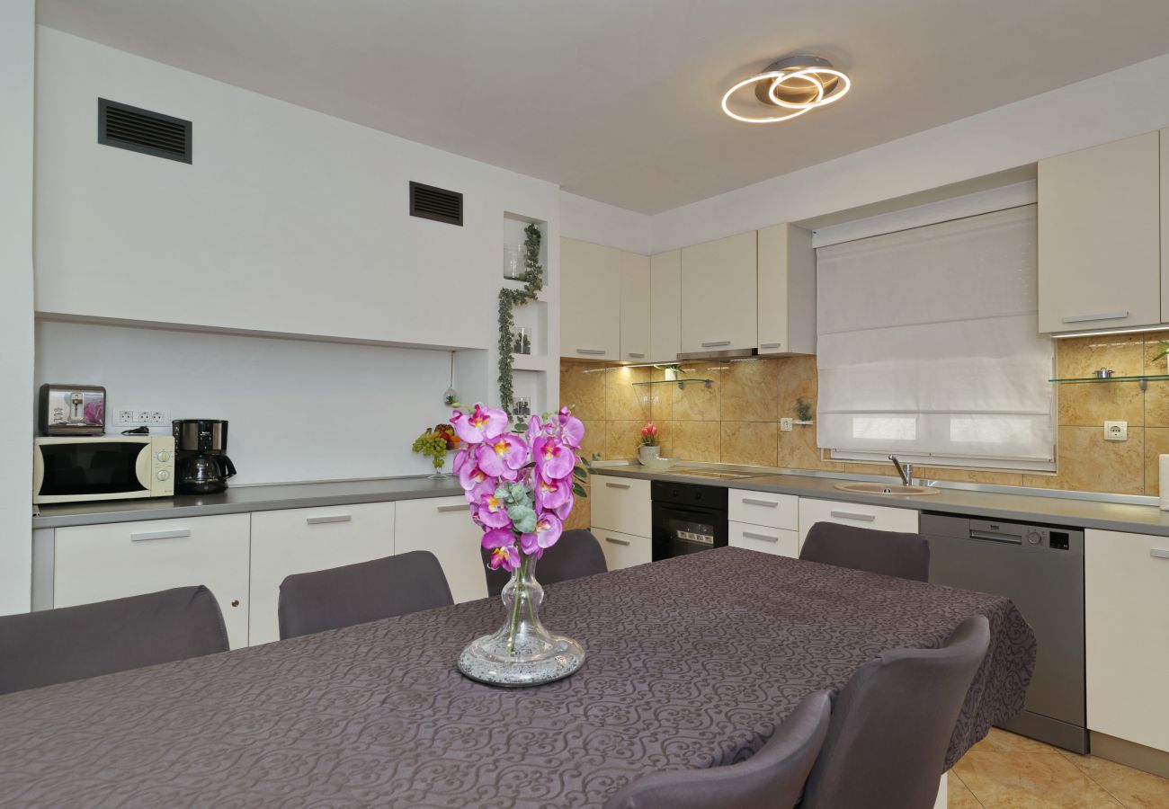 Apartment in Zadar - Anita