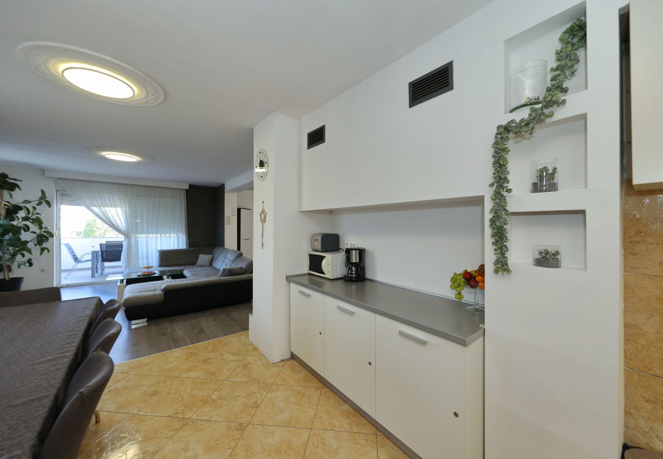 Apartment in Zadar - Anita