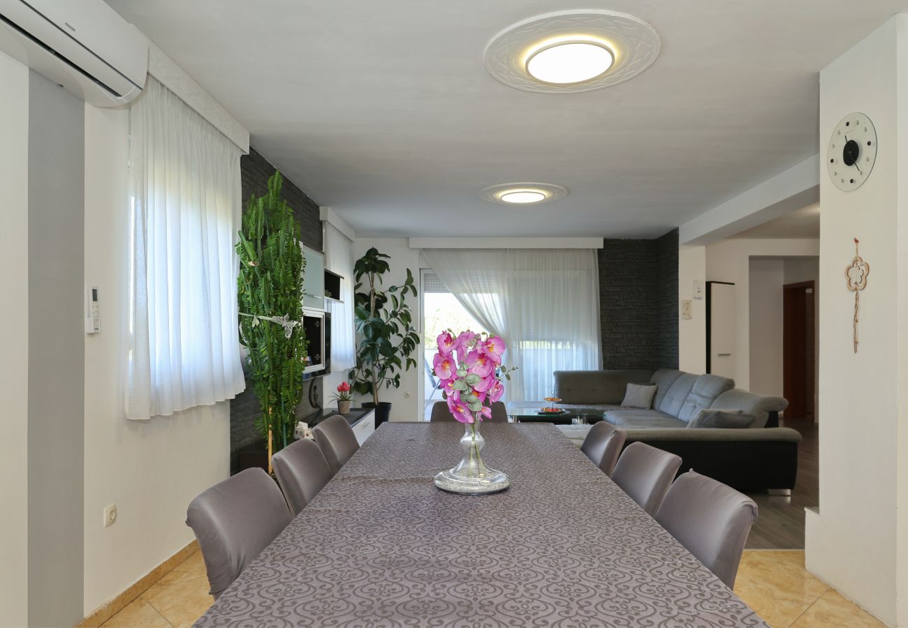 Apartment in Zadar - Anita