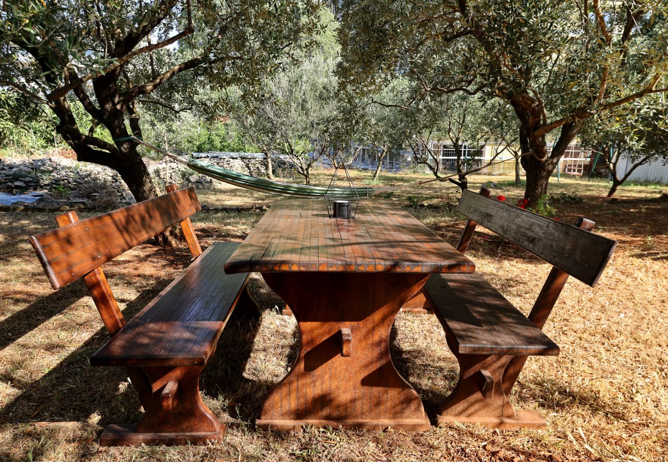 Apartment in Zadar - Anita