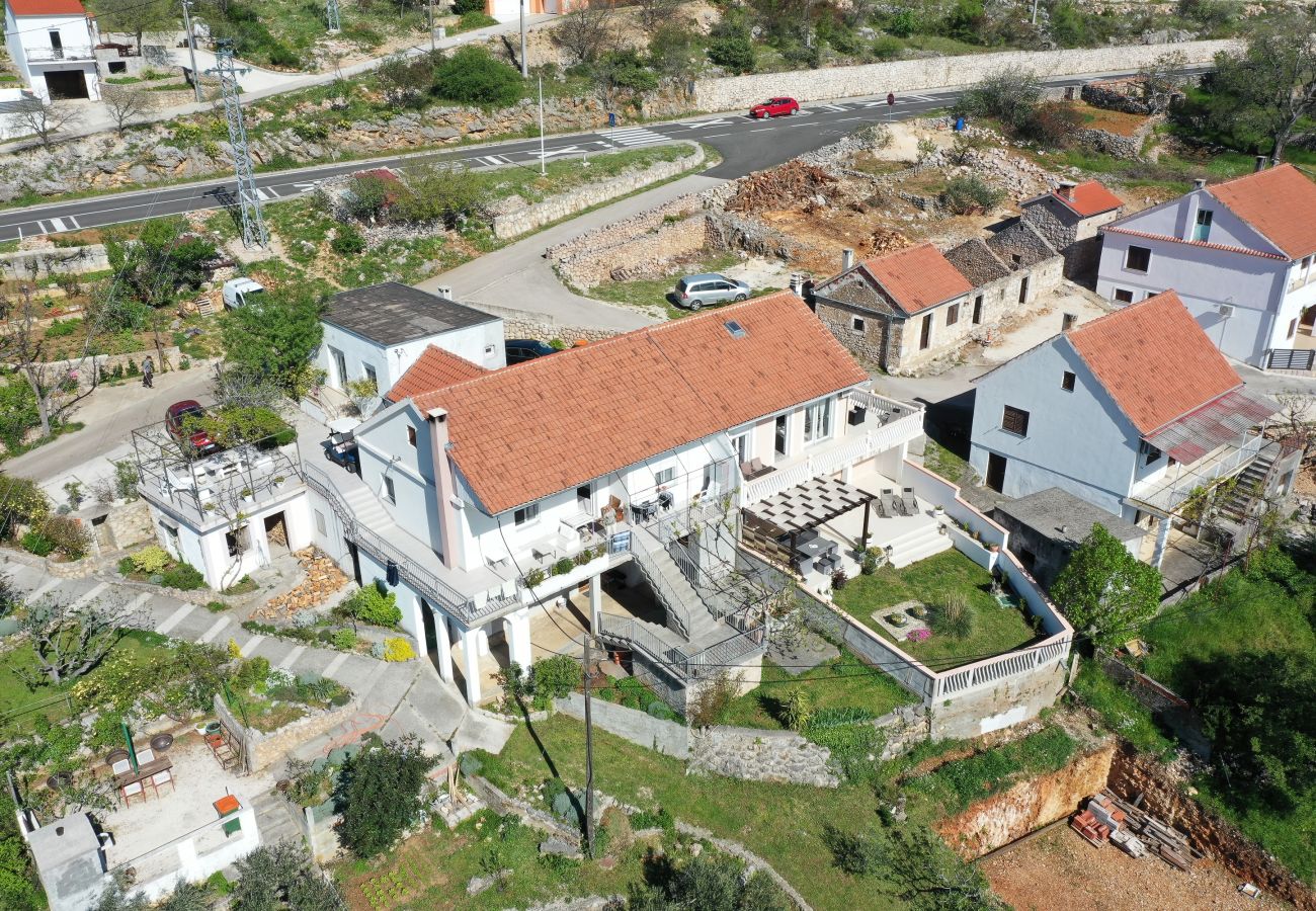 Apartment in Rovanjska - Marina, No. 2