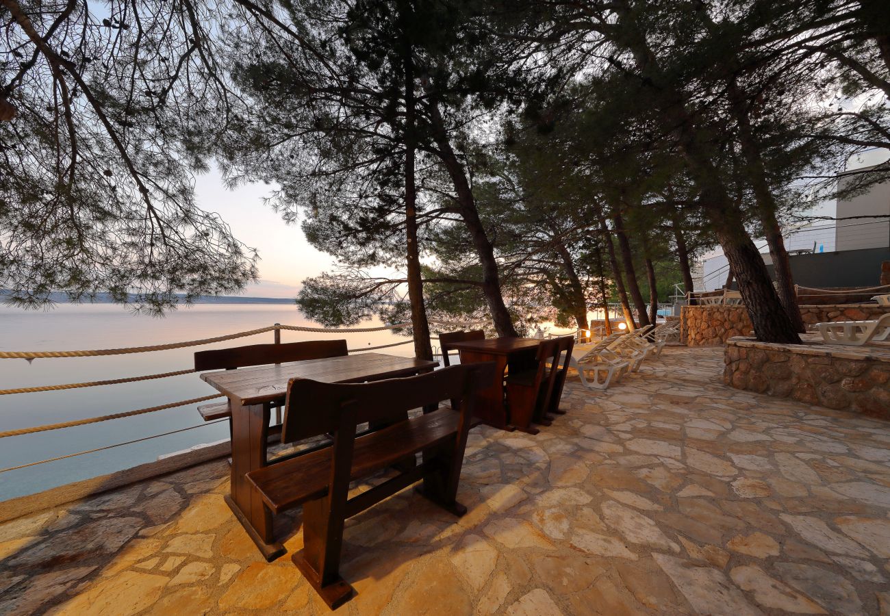 Apartment in Starigrad - Candela No. 5