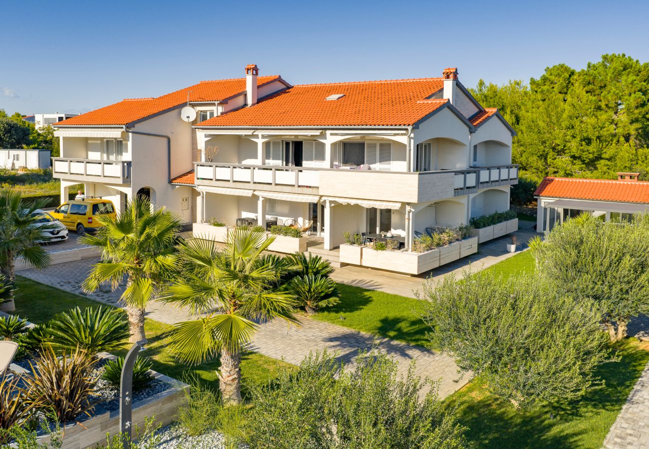 Apartment in Vir - Apartment Suva Punta 1 by the Sea