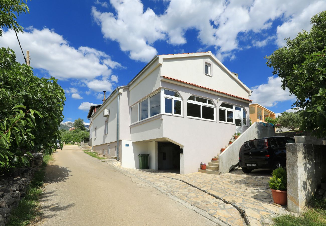 Apartment in Rovanjska - Pavao - Rovanjska