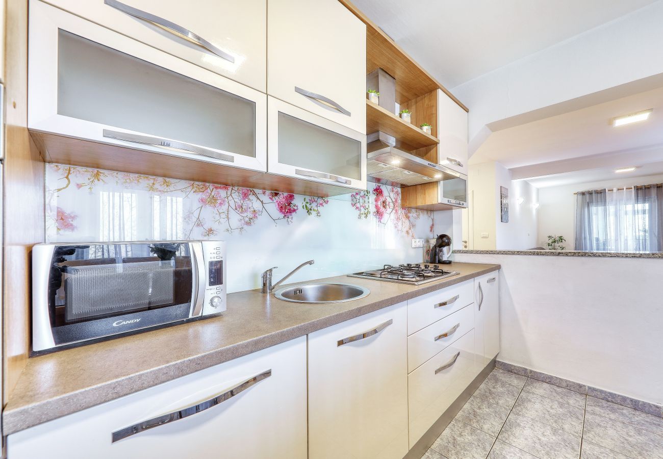 Apartment in Rovanjska - Pavao - Rovanjska