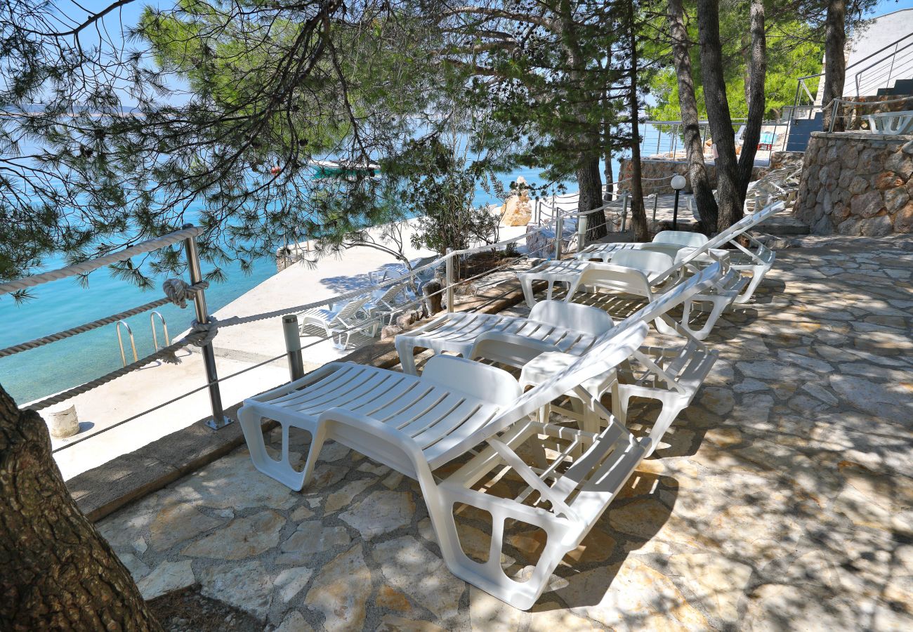 House in Starigrad - Steinhaus Mirko