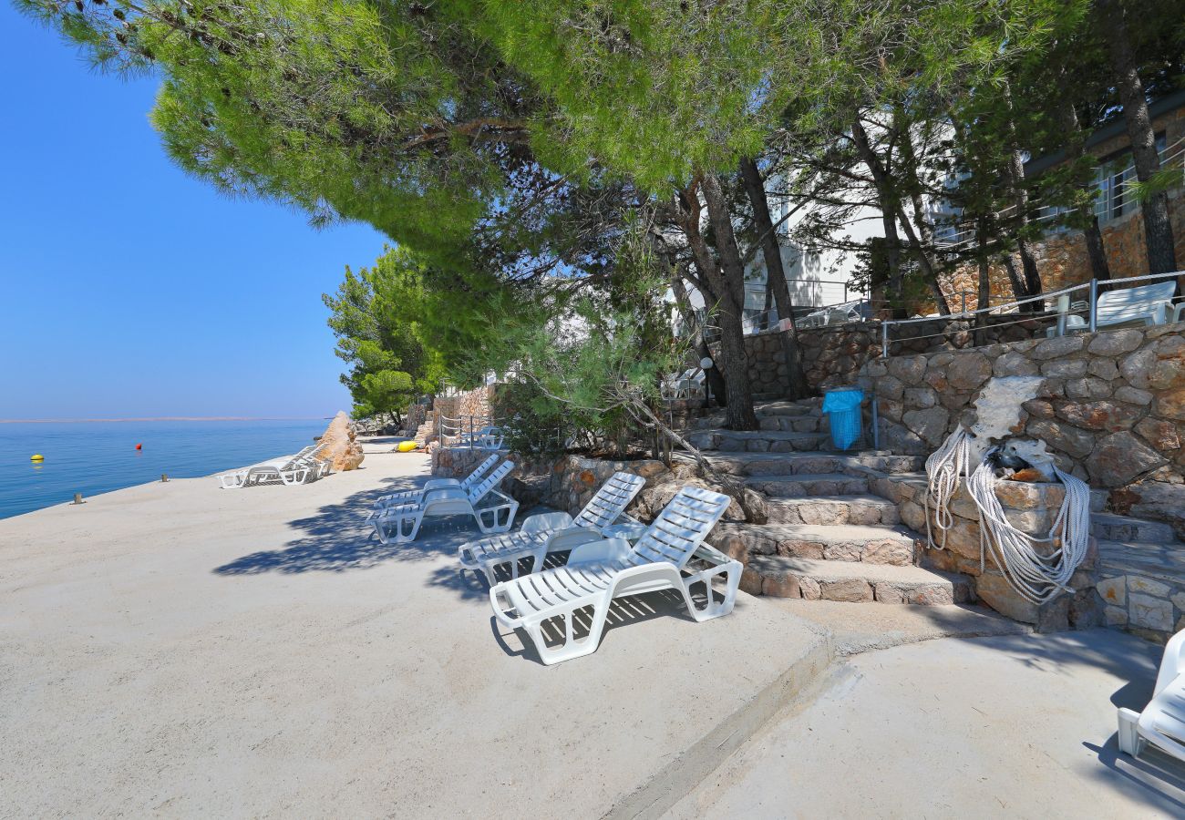 House in Starigrad - Steinhaus Mirko