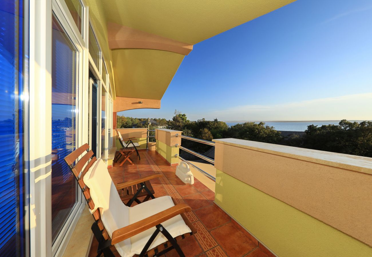 Villa in Starigrad - Villa Paulina