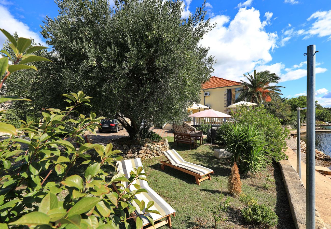 Apartment in Maslenica - Apartment LAURA 2