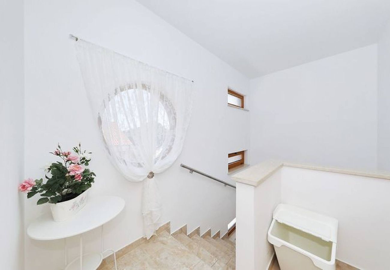 Apartment in Privlaka - Darsofina No 3 