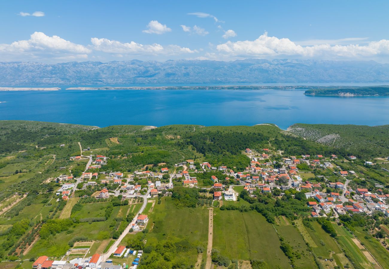 Villa in Vrsi - Villa Angelina