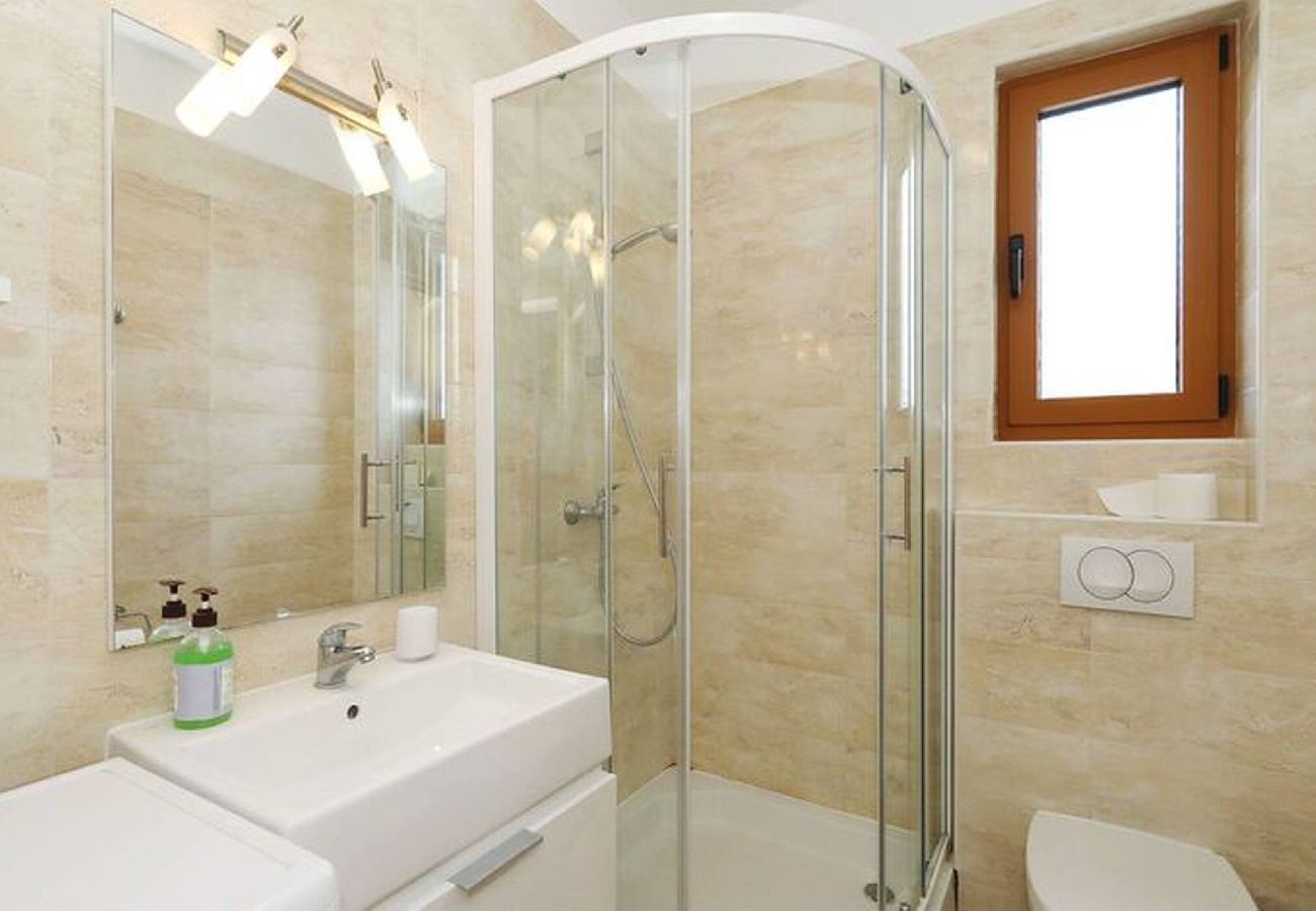 Apartment in Privlaka - Darsofina No 5 