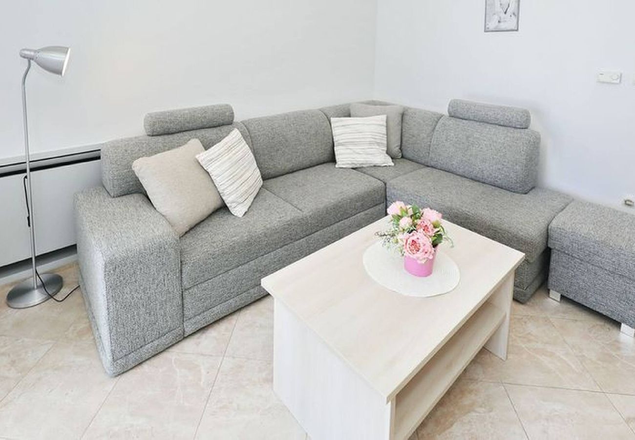 Apartment in Privlaka - Darsofina No 4 