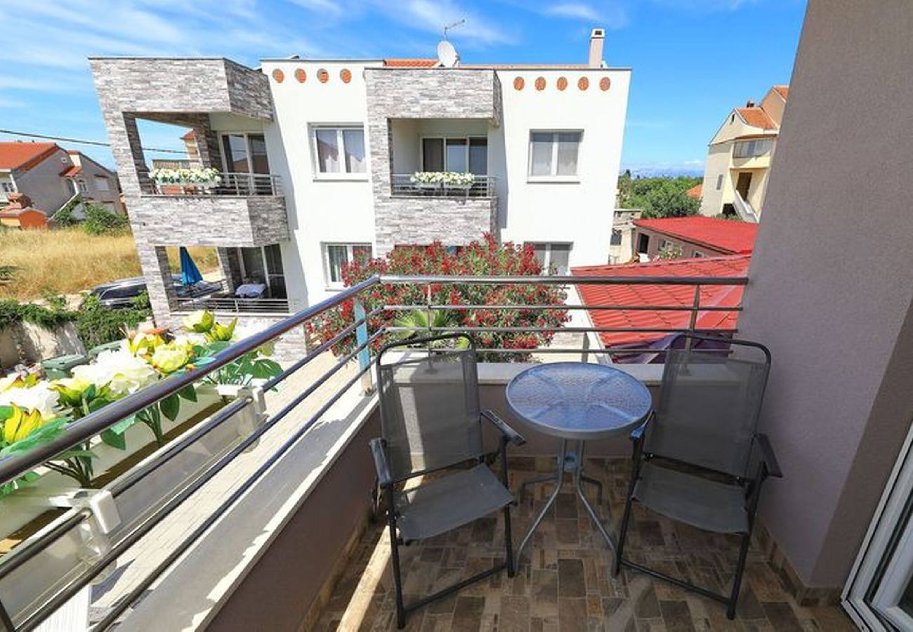 Apartment in Privlaka - Darsofina No 4 