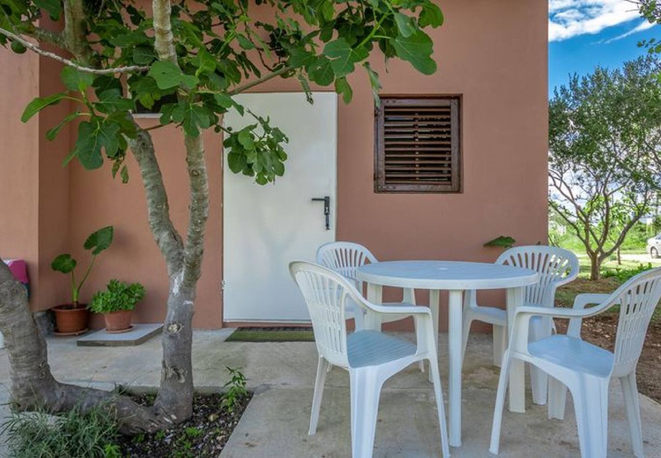 Apartment in Vrsi - Rubbi, No 3, Apartment mit Terrasse, strandnah