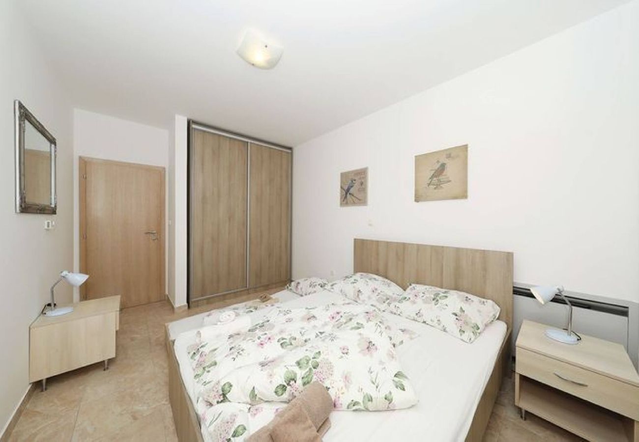 Apartment in Privlaka - Darsofina No 2 
