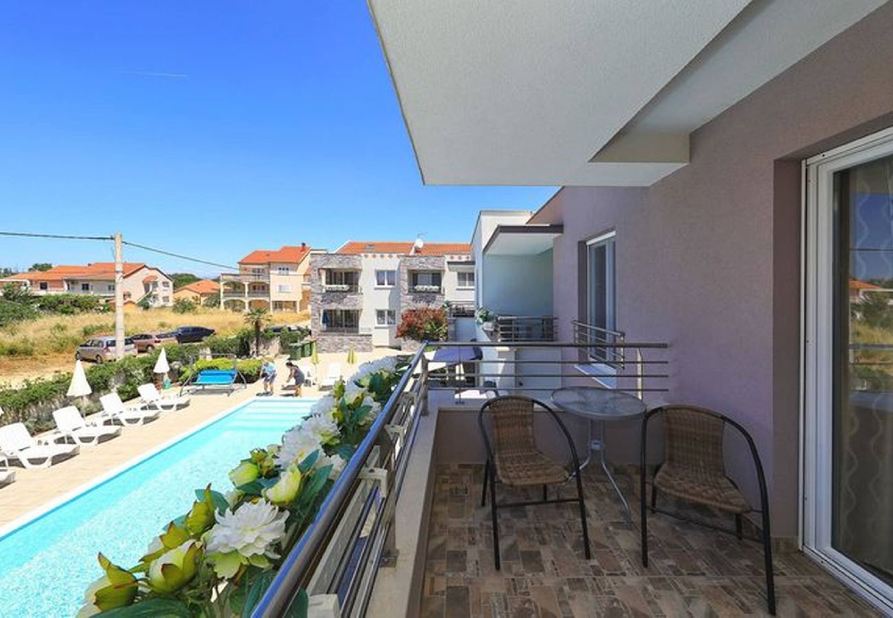 Apartment in Privlaka - Darsofina No 2 
