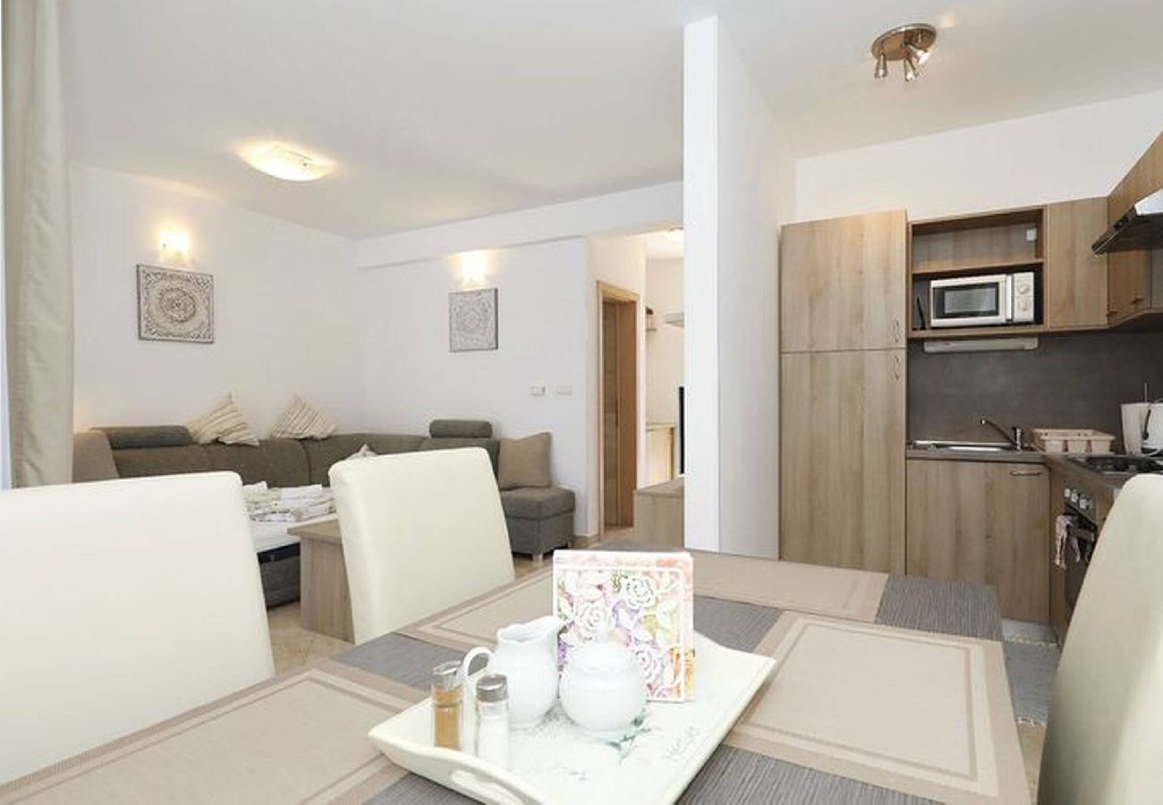 Apartment in Privlaka - Darsofina No 2 