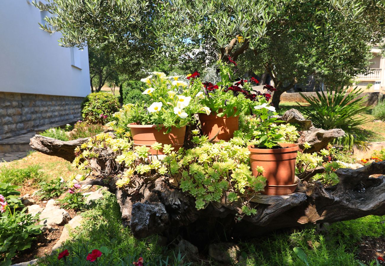 Apartment in Maslenica - Simaruna, Schöne Ferienwohnung mit Whirlpool,