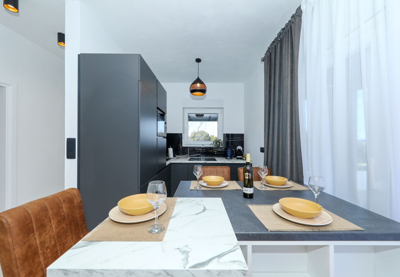 House in Dobropoljana - Orchid stay