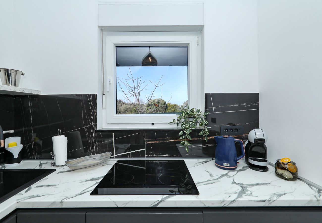 House in Dobropoljana - Orchid stay