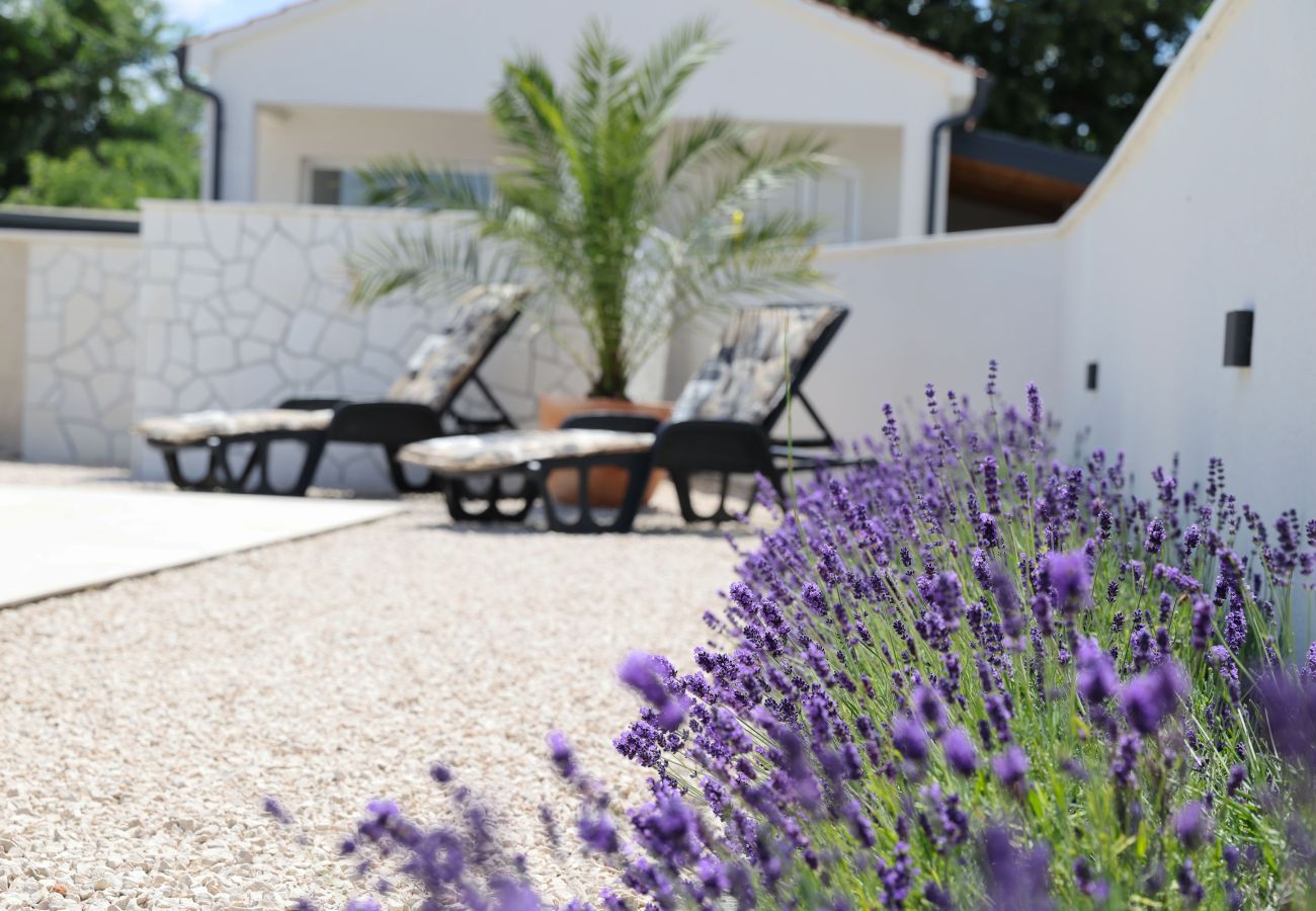 House in Vrsi - Holiday house Luca