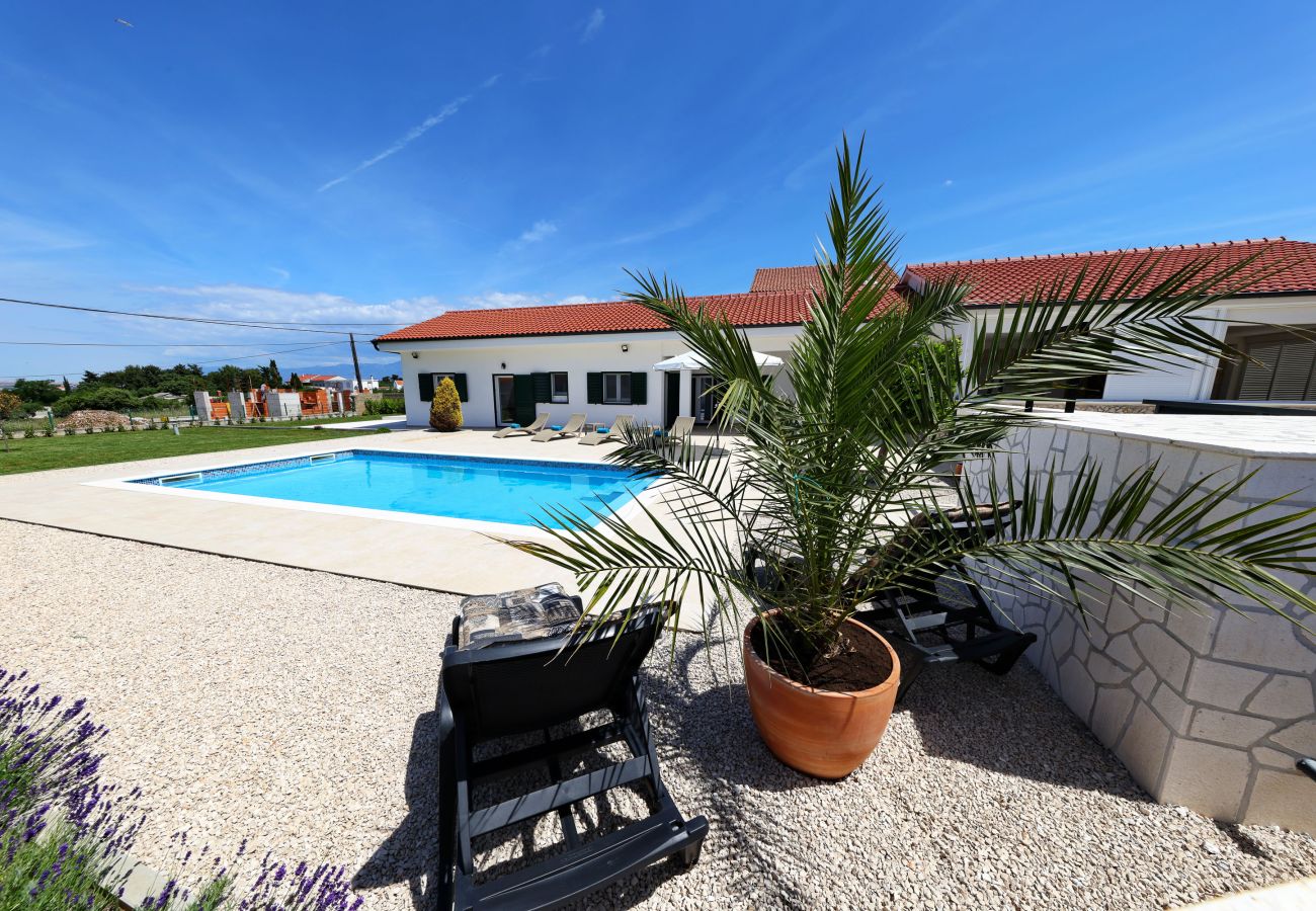 House in Vrsi - Holiday house Luca