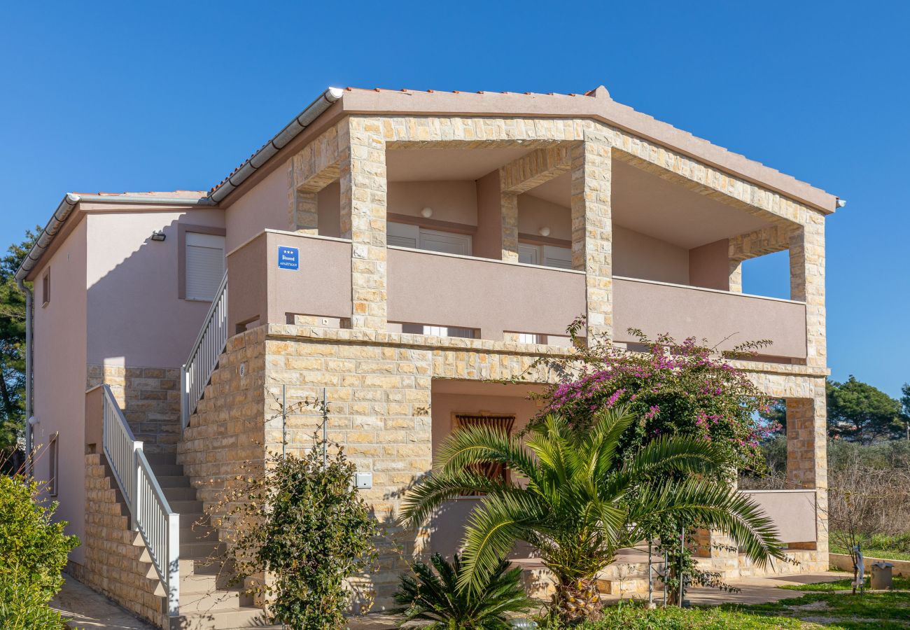 Apartment in Vir - Apartment Bojo No 1 near the Beach