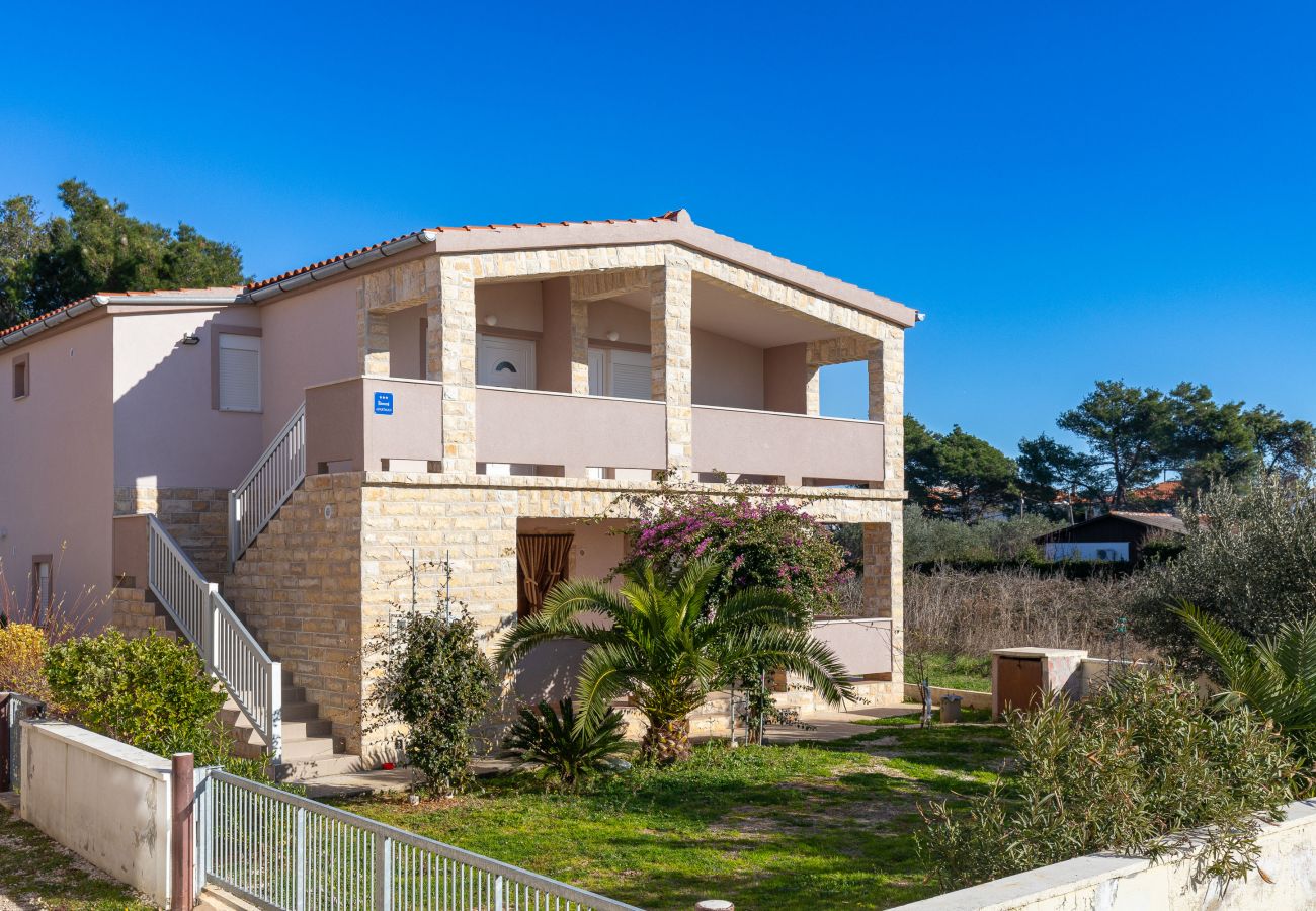 Apartment in Vir - Apartment Bojo No 1 near the Beach