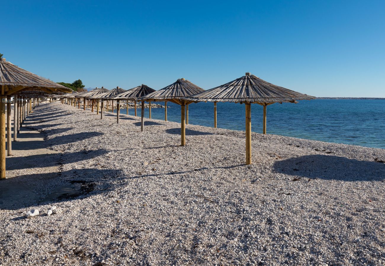 Apartment in Vir - Apartment Bojo No 1 near the Beach